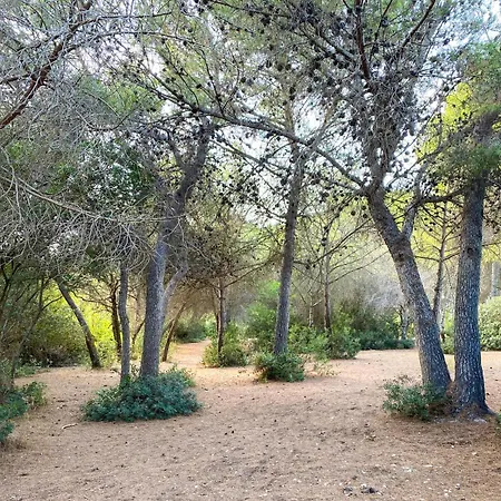 Sud Famille Jardin Piscine & Nature *