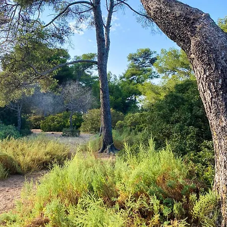 Villa Sud Famille Jardin Piscine & Nature *