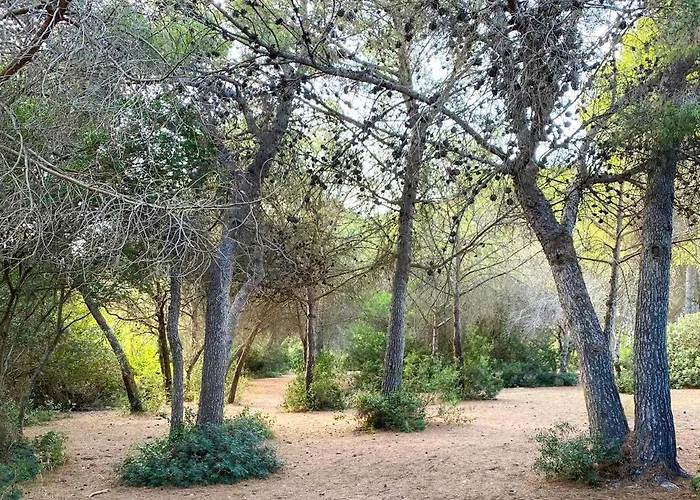 Maison Cosy Entre Et Garrigue *