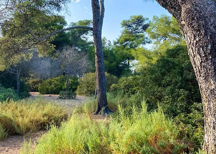 Villa Maison Cosy Entre Et Garrigue *
